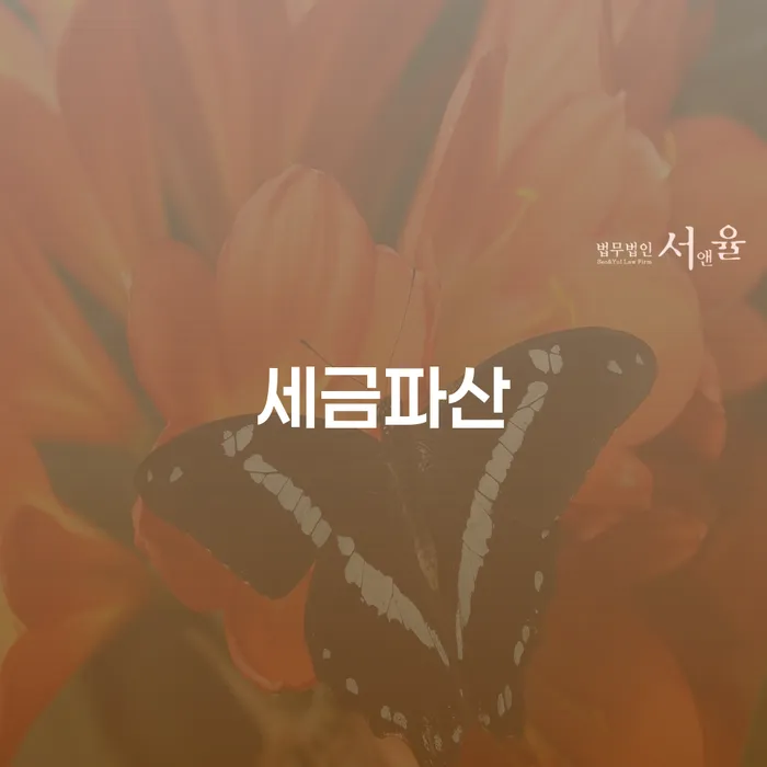 개인회생사업자 대출 받은 돈채무조정 잘하는 법률사무소