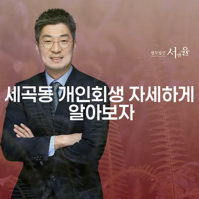 세곡동 개인회생 자세하게 알아보자