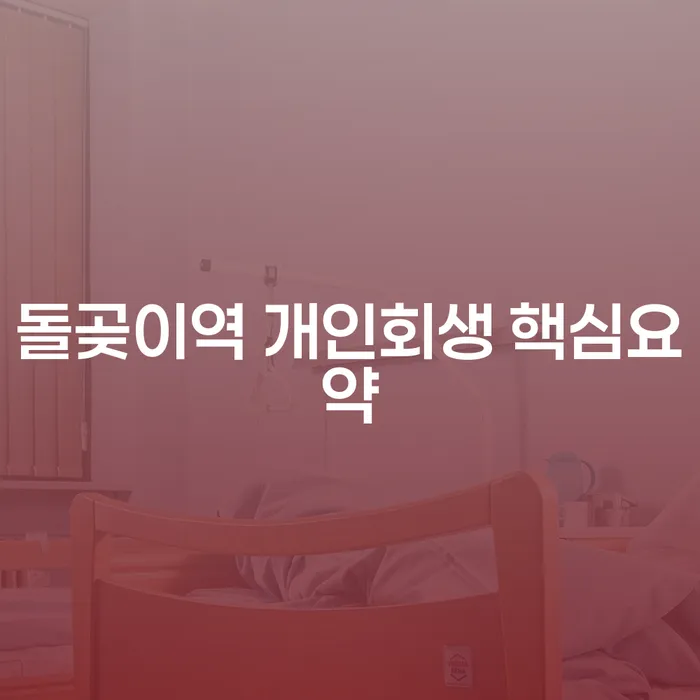 돌곶이역 개인회생 핵심요약